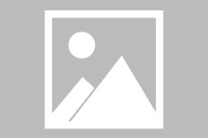 相信你所相信的？BLG教练：希望大家不要怀疑自己 不要怀疑身边人